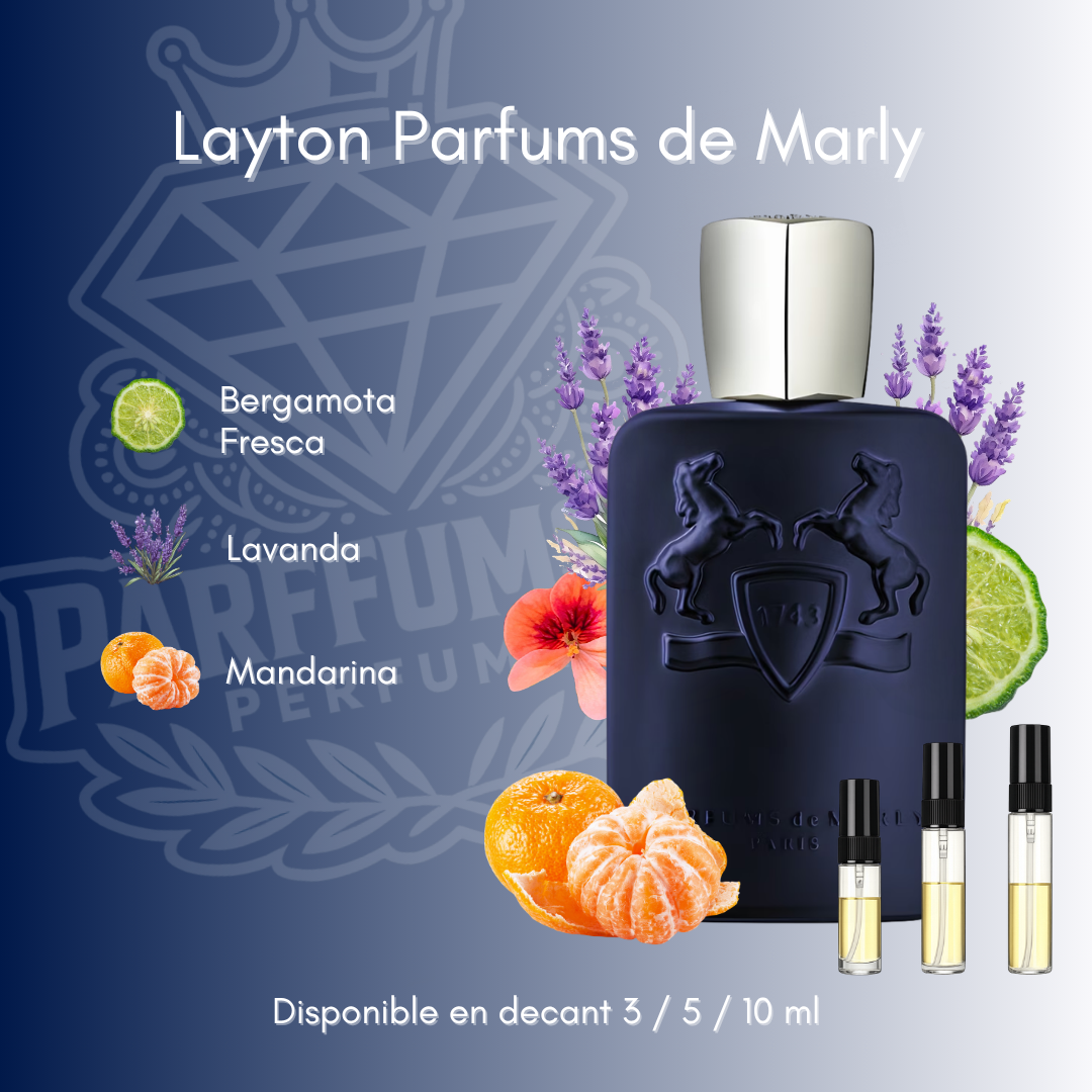 Layton EDP